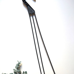 ●数量限定●　最も美しいシダ植物　大きめ　吊下げ・壁掛け＆卓上可　”フレボディウム　ダバナ　鉢カバーセット”　観葉植物 7枚目の画像