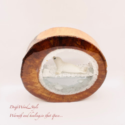 一つ限りの流木アート 流氷のゴマフアザラシ ジオラマ 流木 フィギュア インテリア レジン 置物 動物 アザラシ N4 7枚目の画像