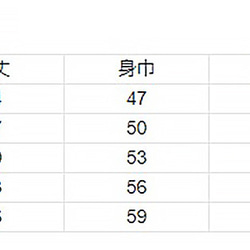 【Dolphin jump】8.4oz ライトパーカー ４カラー 文字入れ可能 イルカ ドルフィン ハワイ 5枚目の画像