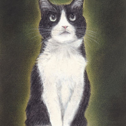 46bc2fd05abf8add27dc8eafa10bd8