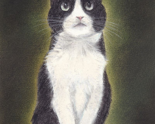 46bc2fd05abf8add27dc8eafa10bd8