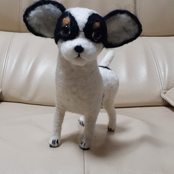 羊毛フェルト シーズー 羊毛フェルト Kingこうた 通販 17575929