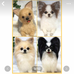 羊毛フェルト☆【オーダーメイド】☆ハンドメイド ☆犬☆メモリアル☆リアル☆ぬいぐるみ☆贈り物☆愛犬☆うちの子☆虹の橋 7枚目の画像