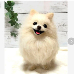 ハンドメイド オーダー受付ページ ♡スナック ポメラニアン