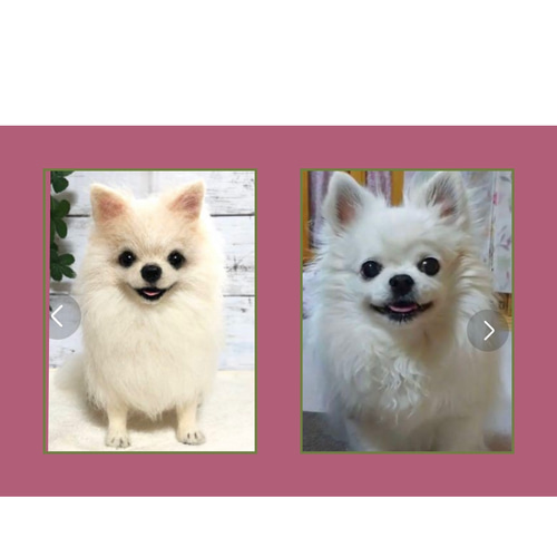 羊毛フェルト☆【オーダーメイド】☆ハンドメイド ☆犬 羊毛フェルト☆【オーダーメイド】☆ハンドメイド ☆犬