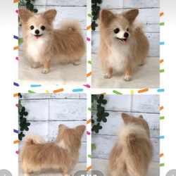 羊毛フェルト☆【オーダーメイド】☆ハンドメイド ☆犬☆メモリアル☆リアル☆ぬいぐるみ☆贈り物☆愛犬☆うちの子☆虹の橋 3枚目の画像