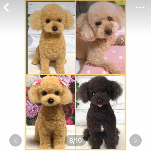 お値下げ。ハンドメイド 羊毛フェルト プードル風 ぬいぐるみ 約23cm オーダーメイド ギフトに トイプードル【再販・受注制作】リアル