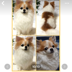 羊毛フェルト☆【オーダーメイド】☆ハンドメイド ☆犬☆メモリアル☆リアル☆ぬいぐるみ☆贈り物☆愛犬☆うちの子☆虹の橋 8枚目の画像