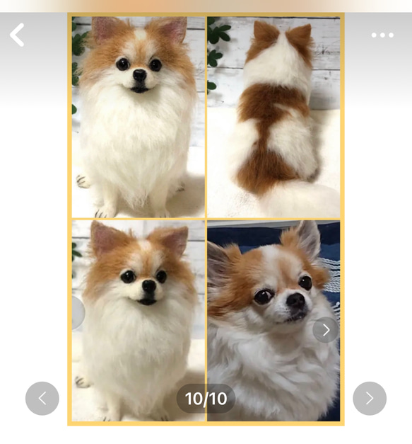 羊毛フェルト☆【オーダーメイド】☆ハンドメイド ☆犬☆メモリアル☆リアル☆ぬいぐるみ☆贈り物☆愛犬☆うちの子☆虹の橋 8枚目の画像