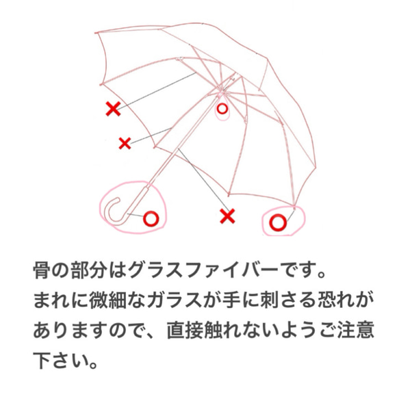  第11張的照片