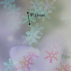 スパンコール 13mm 約160枚(約4g) 雪 オーロラ半透明白 (SSN13AWHHHHS) 2枚目の画像