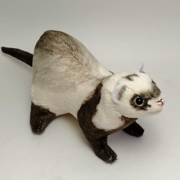 フェレットぬいぐるみ・オーダーメイド 【受注製作】 