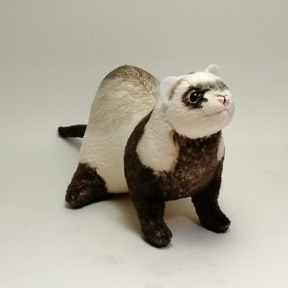 フェレットぬいぐるみ・オーダーメイド 【受注製作】 