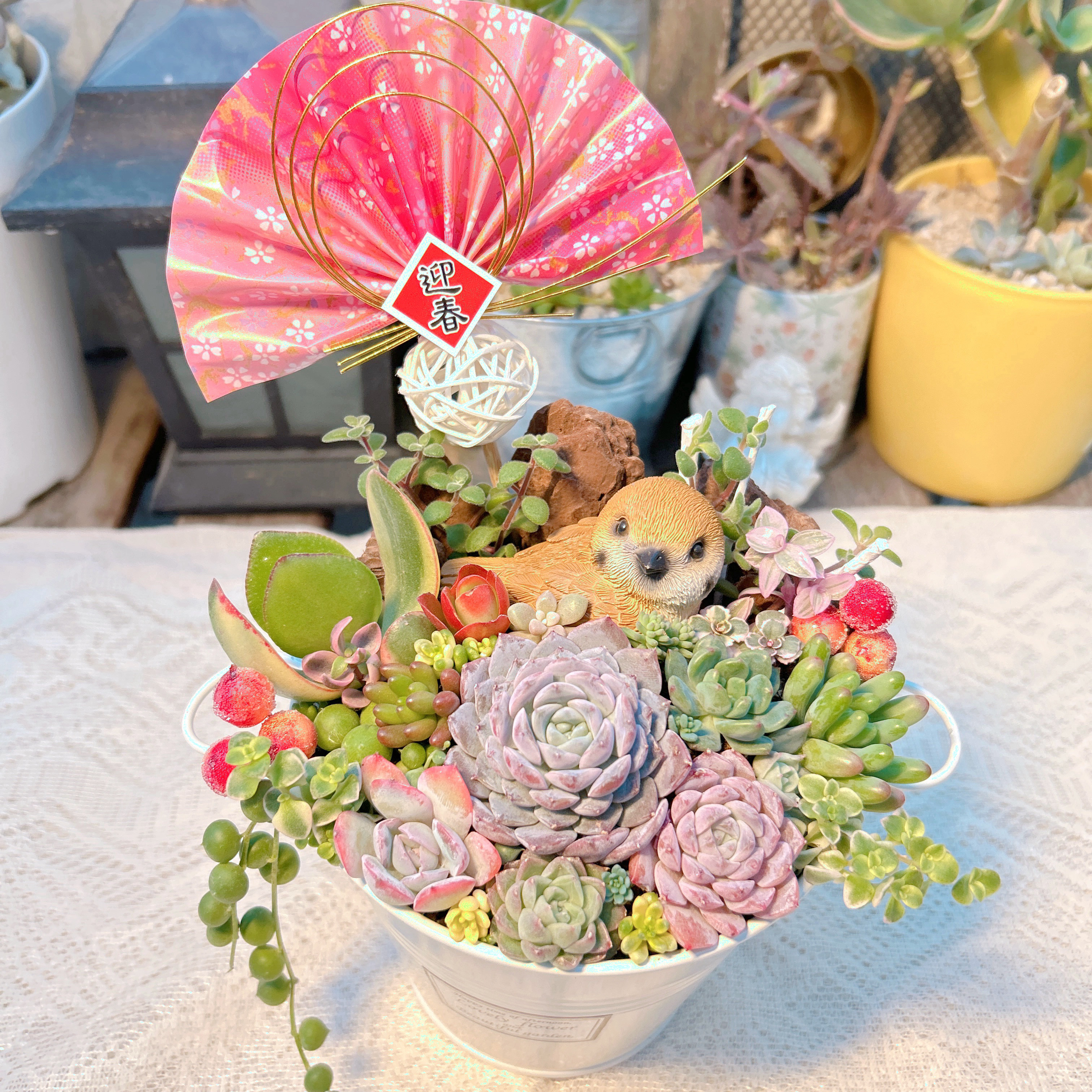 ・:*速達付き多肉植物そのまま飾れる・:*お正月.縁起物.お年賀