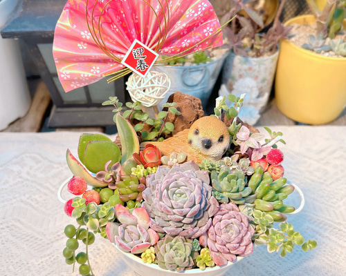 c99abf9cf89b06ab565a333d559bf1