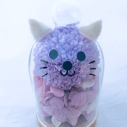 プリザーブドフラワー猫ちゃんガラスドーム/お家に連れて帰って！癒しのパープルニャンコ 1枚目の画像