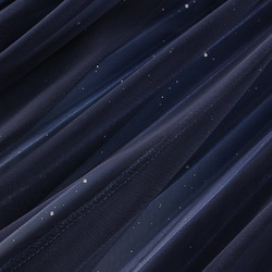 星空 グラデーション チュール プリーツ スカート - Proxima(全4色) 3枚目の画像