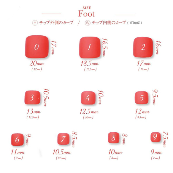  第11張的照片