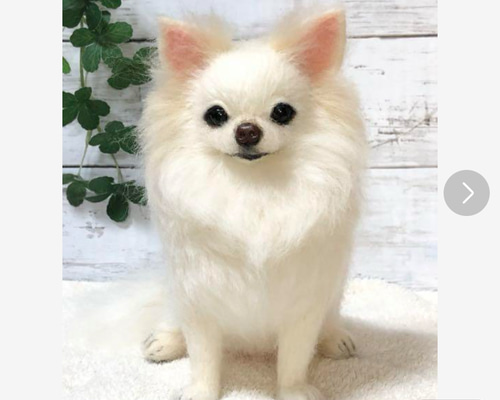 羊毛フェルト ミイ様 チワワ 犬 ハンドメイド オーダー M.mi様☆オーダーページ チワワ 羊毛フェルト ハンドメイド 犬 羊毛