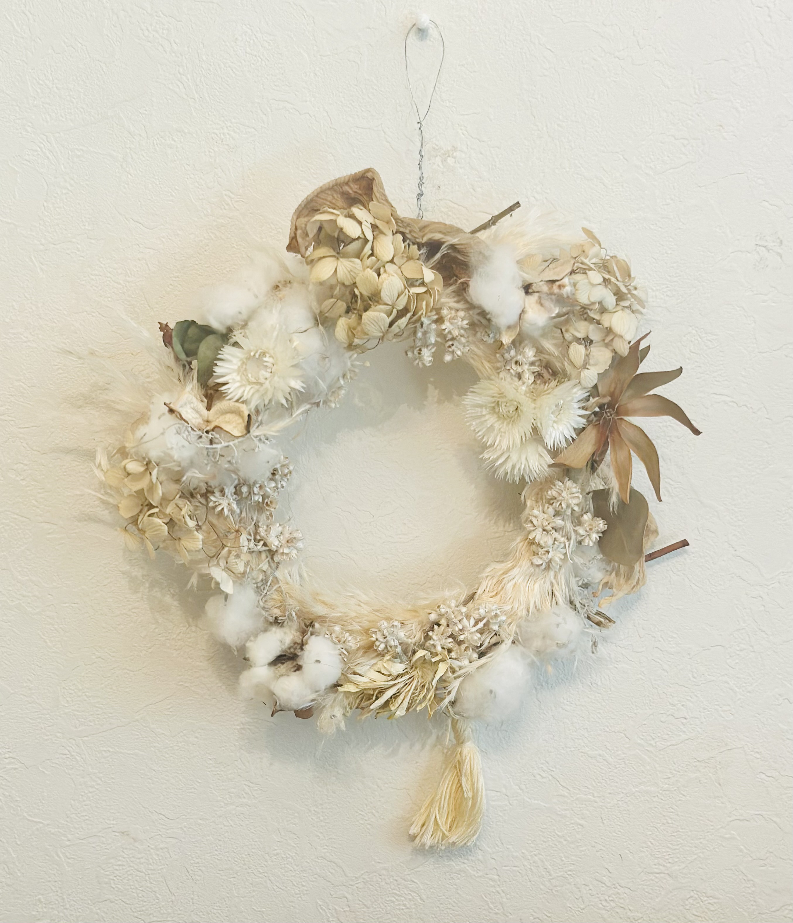 パンパスグラスリース クリスマスリース パンパスグラス 冬 クラスペディア ユーカリ