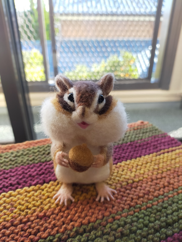 羊毛フェルト　ふっくら顔のシマリス 1枚目の画像