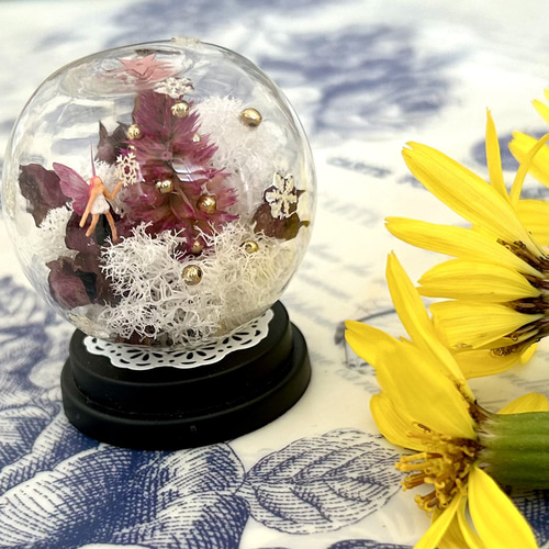 【標本☆オオルリアゲハ】アンティーク・ガラスドーム 標本☆オオルリアゲハ】アンティーク・ガラスドーム