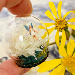 ミニガラスドームの妖精（ホワイトデージーその1）　妖精標本商会　小瓶の妖精　妖精アクセサリー　妖精置き物　フェアリー 1枚目の画像