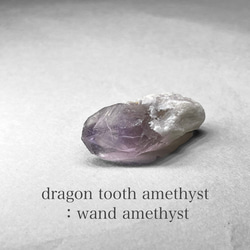 dragon tooth ( wand ) amethyst / ブラジル産ドラゴントゥース( ワンド )アメジストS 1枚目の画像