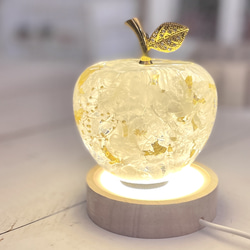 ドームガラスのミニツリー ハーバリウム・植物標本 Fullfleur 通販