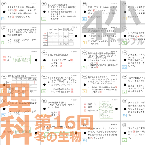 中学受験 暗記カード【4年下 全セット 社会・理科1-18回】 組分け 