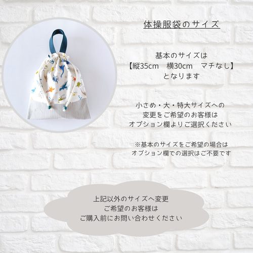 3点セット】《 カラフル恐竜／オフホワイト 》レッスンバッグ 上履き