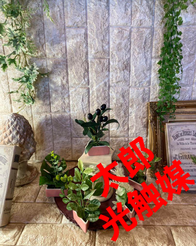 光触媒 人工観葉植物 ウォールグリーン フェイクグリーン 3角5種ptw Ω 