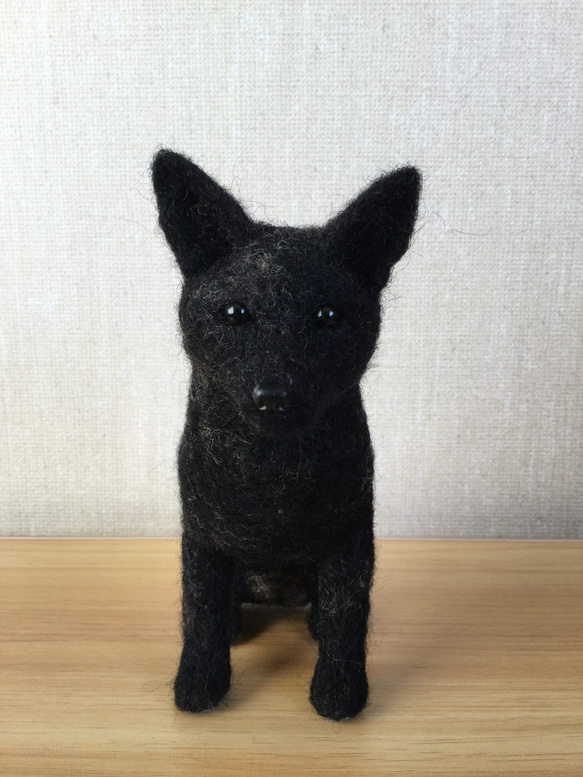 羊毛フェルト 甲斐犬 羊毛フェルト masapan 通販 17037022