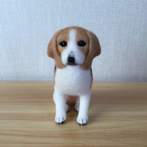 羊毛フェルトマルプー ビーグル