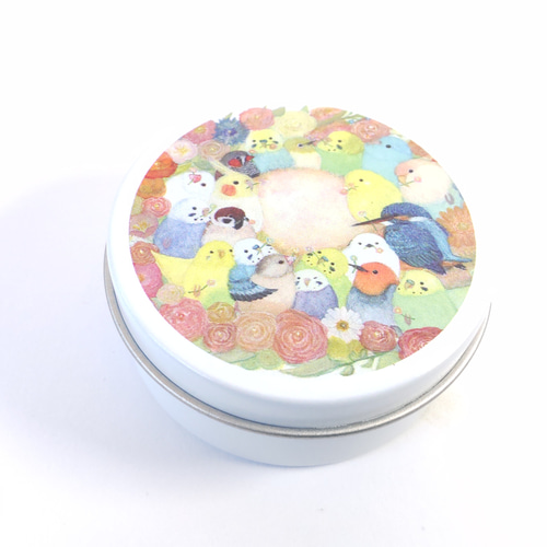 かわいい♪小鳥たちの小物入れ/ミニ缶ケース『色とりどりーす かわいい♪小鳥たちの小物入れ/ミニ缶ケース『色とりどりーす