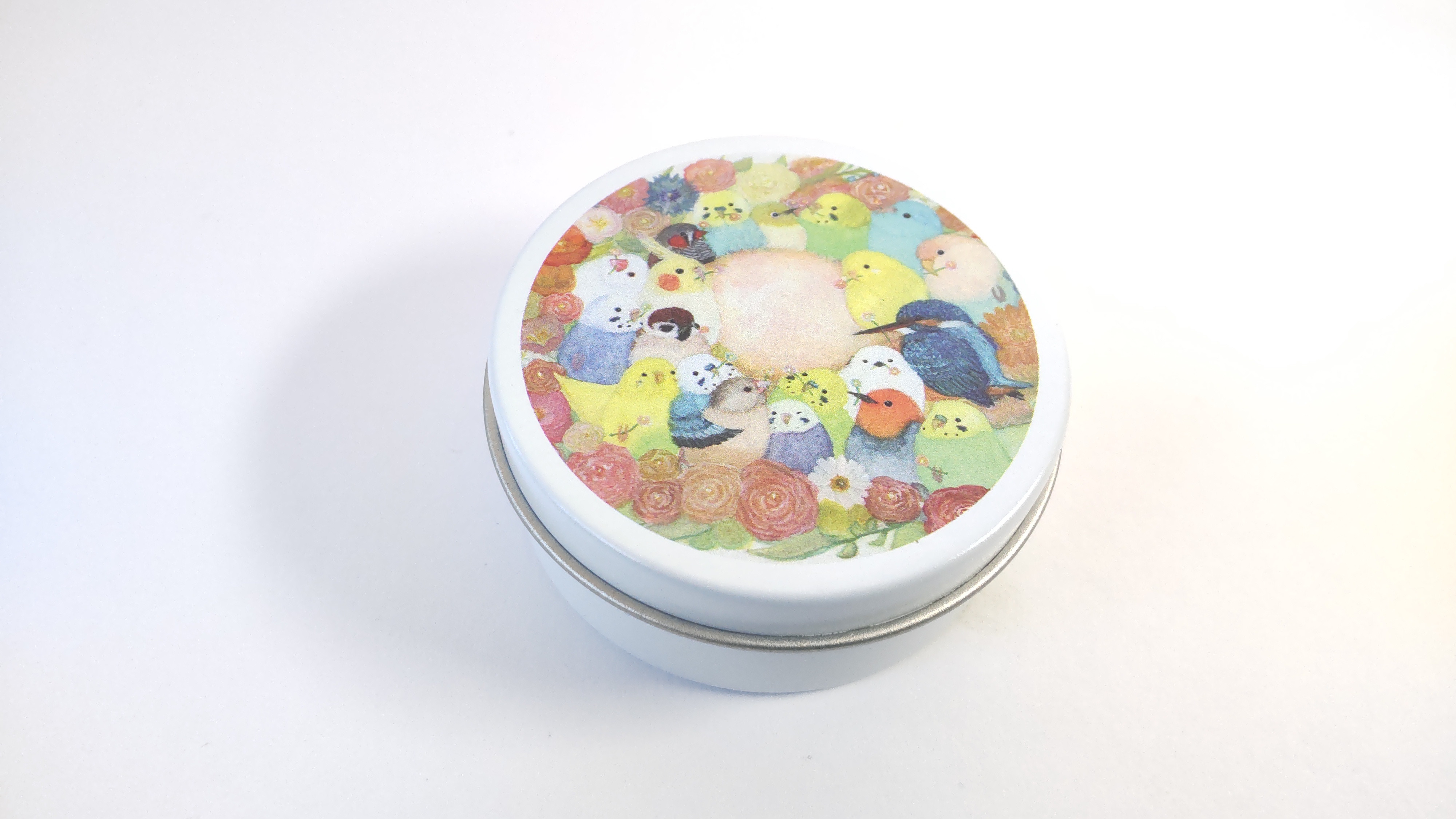 かわいい♪小鳥たちの小物入れ/ミニ缶ケース『色とりどりーす