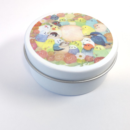 かわいい♪小鳥たちの小物入れ/ミニ缶ケース『色とりどりーす