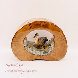 一つ限りの流木アート 水辺にたたずむカルガモ ジオラマ 流木 フィギュア 置物 鳥 インテリア レジン N6 2枚目の画像
