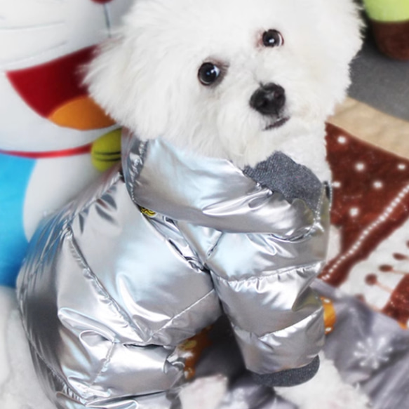 秋冬新款のテディベアやビションフリーゼの犬用防水輝く金銀黒のダウン
