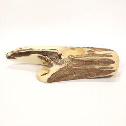 【温泉流木】繊細なブラウン溝ラインのミニ鉢エアプランツスタンド ホルダー 木製 流木インテリア 2枚目の画像