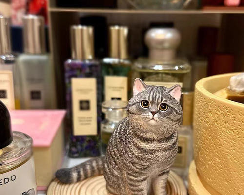 猫の森_断捨離中の為値下げ中様＊オーダーページ バード