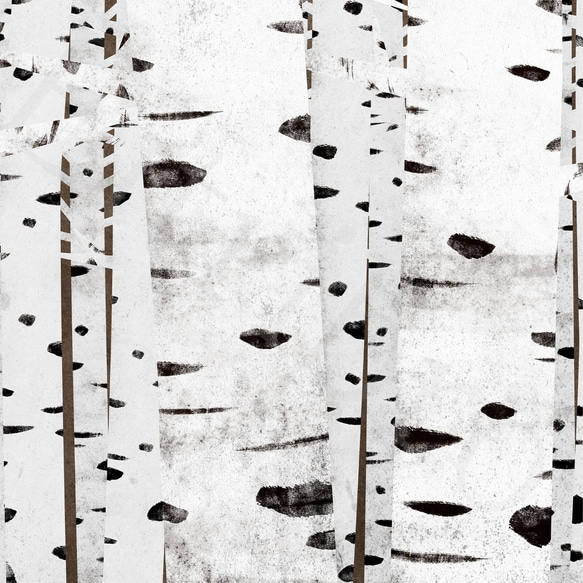アート ポスター / Birch forest No.3　おしゃれインテリア・北欧、モノトーン好きの方に☆ 6枚目の画像