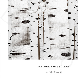 アート ポスター / Birch forest No.4　おしゃれインテリア・北欧、モノトーン好きの方に☆ 9枚目の画像