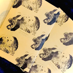 Oshiri kaikai Rakko -Waxpaper bookcover 1枚目の画像