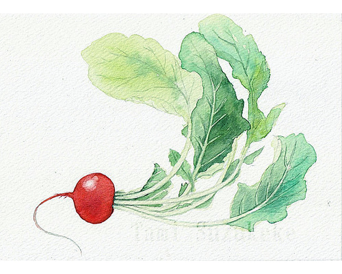 b926b5fe6d48dacf143ede65362aba