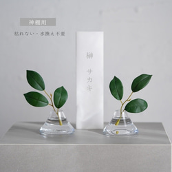 オンシジューム♡ブーケセット♡ オンシジュームブーケ セット〜natural taste wedding 〜 ブーケ