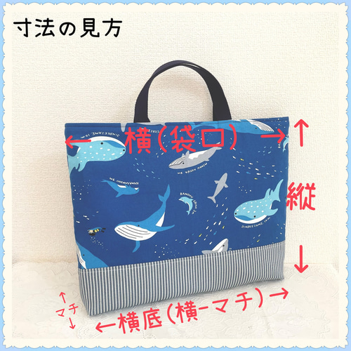 入園入学】レッスンバッグ 上履き入れ《海 魚 生き物 クジラ 水族館