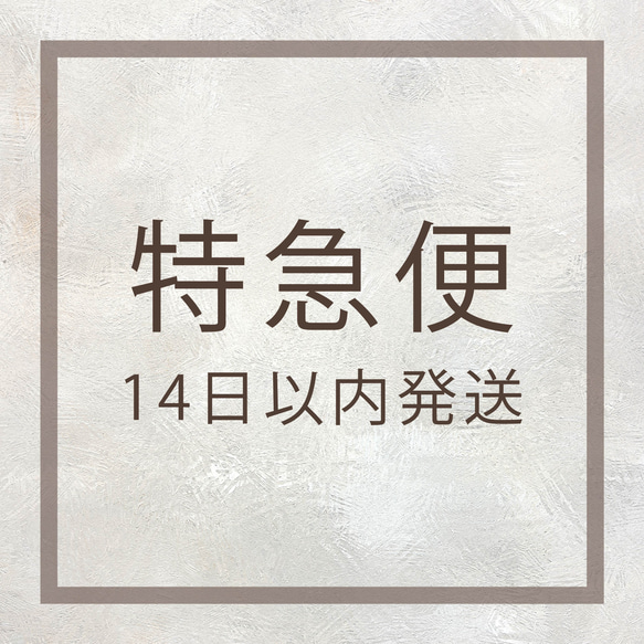 【お急ぎオプション】14日以内発送 1枚目の画像