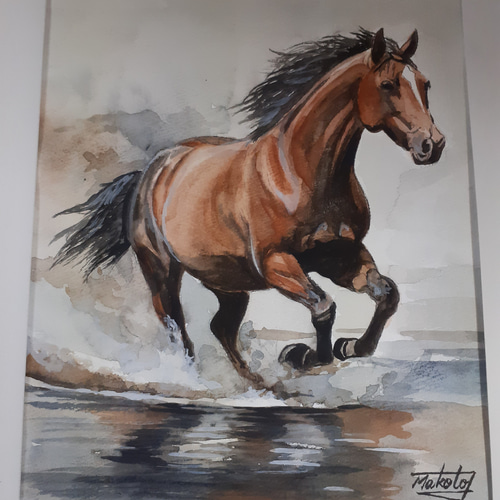 水彩画 海岸を駆ける！ 絵画 makochin 通販 17041060｜Creema