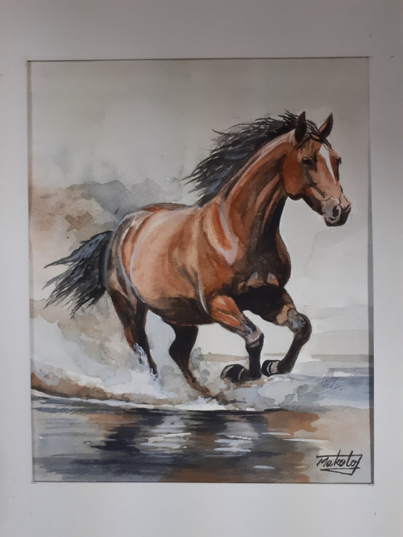 水彩画 海岸を駆ける！ 絵画 makochin 通販 17041060｜Creema